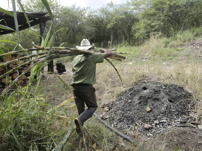 El proceso del dulce comienza al cortar la caña y llevarlo al trapiche para ser triturada, luego el caldo resultante pasa a grandes hornos donde es cocinado a fuego lento hasta que el líquido se vuelva espeso para luego depositarlo en los moldes.