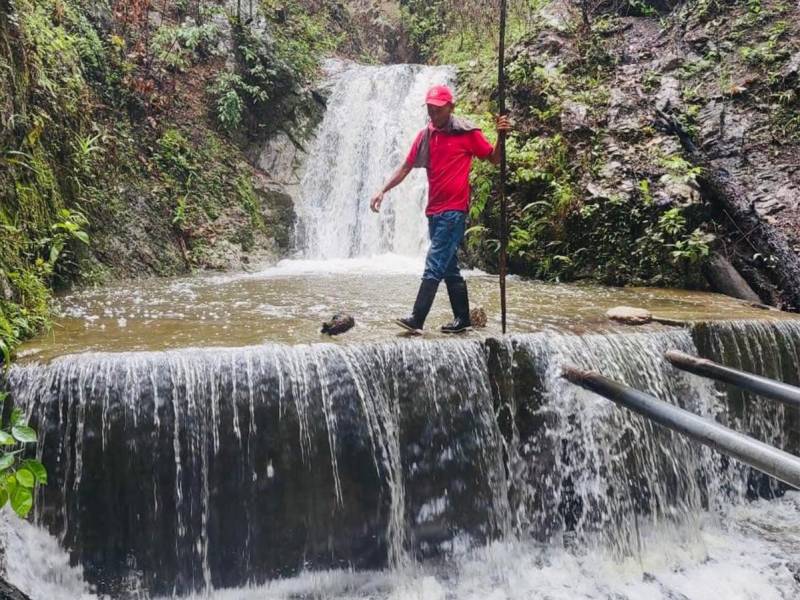 Microcuenca El Manzanal en Danlí, El Paraíso que es parte de las 945 nuevas zonas de protección forestal.