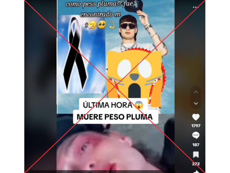 Captura de pantalla a un video que circula en TikTok , hecha el 29 de noviembre de 2024.