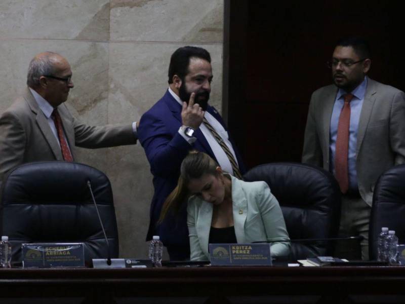 En medio de una sesión legislativa marcada por enfrentamientos y gritos, la diputada del Partido Nacional, Ariana Melissa Banegas, lanzó una botella de agua al presidente del Congreso Nacional, Luis Redondo.