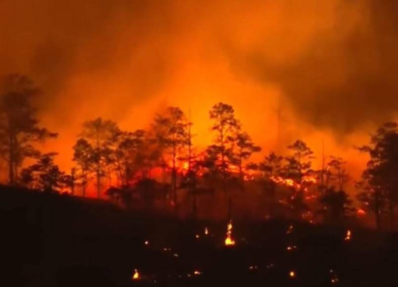 Arde La Tigra: impactantes imágenes del incendio forestal de gran magnitud