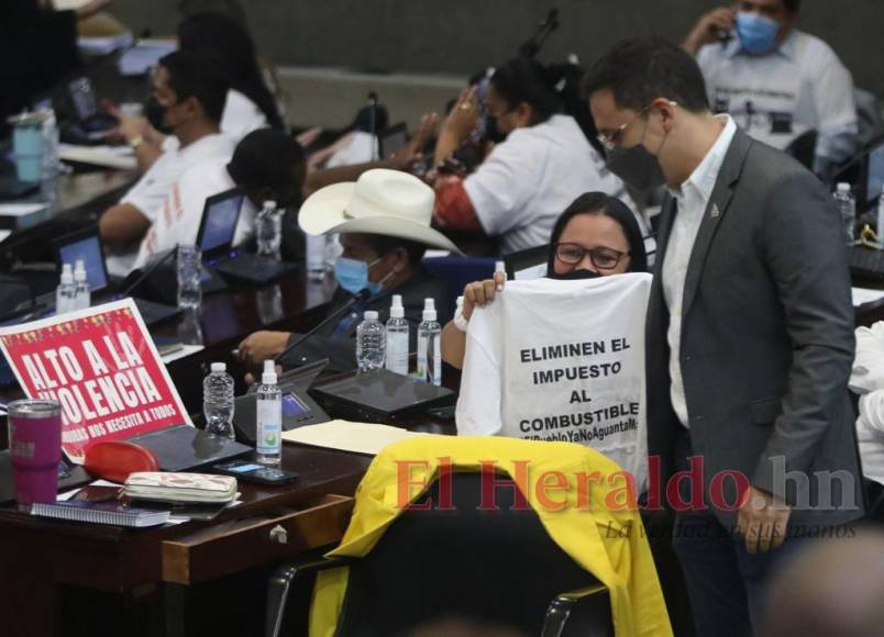 Bienvenida a Beatriz Valle, piden eliminar impuesto a combustibles y bioseguridad: Lo que dejó la reactivación de sesiones legislativas