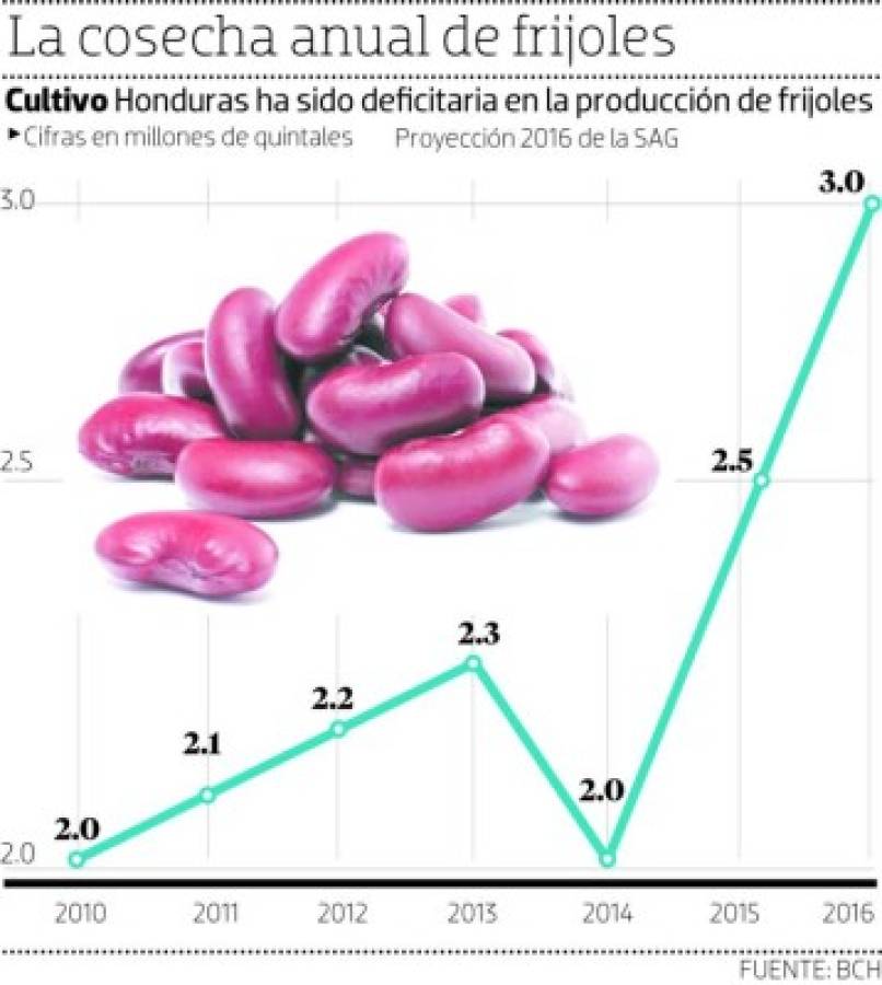 Frijol que ingresó de Nicaragua subió el precio en el país