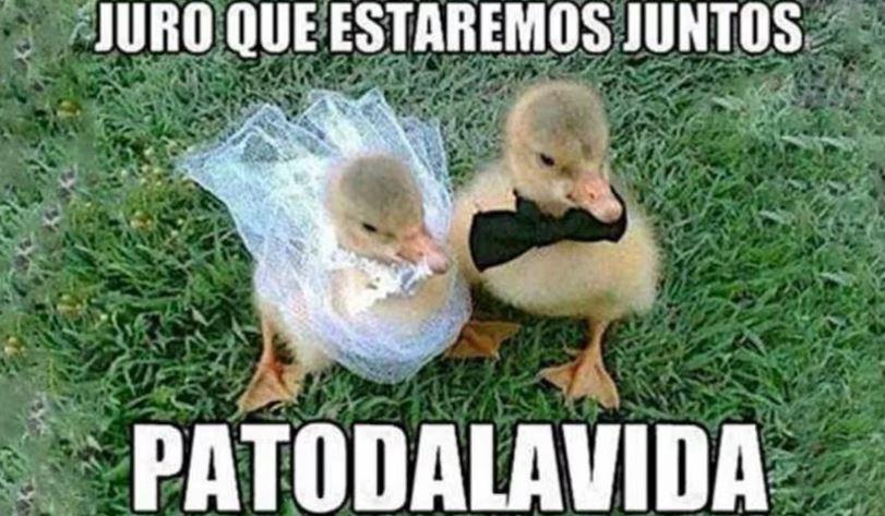 ¿El amor está en el aire? Los mejores memes por Día de San Valentín