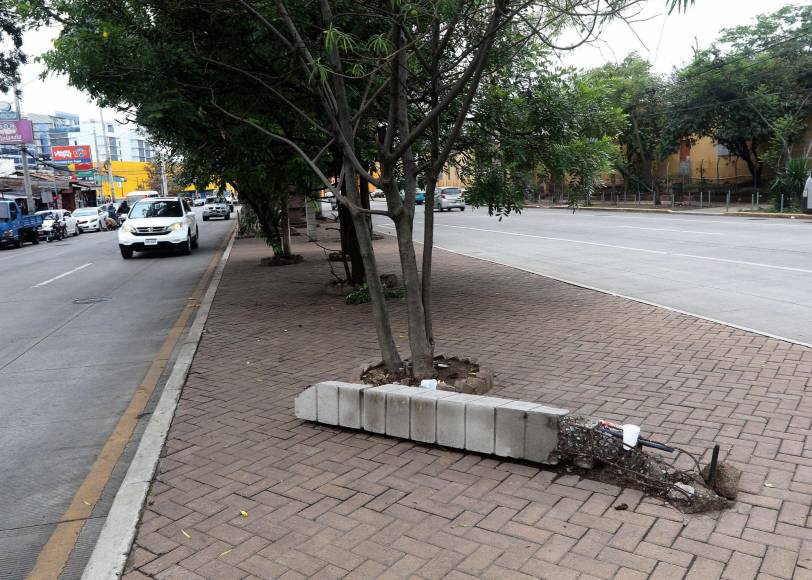 Imágenes: Entre daños y olvido así lucen los héroes del bulevar Los Próceres