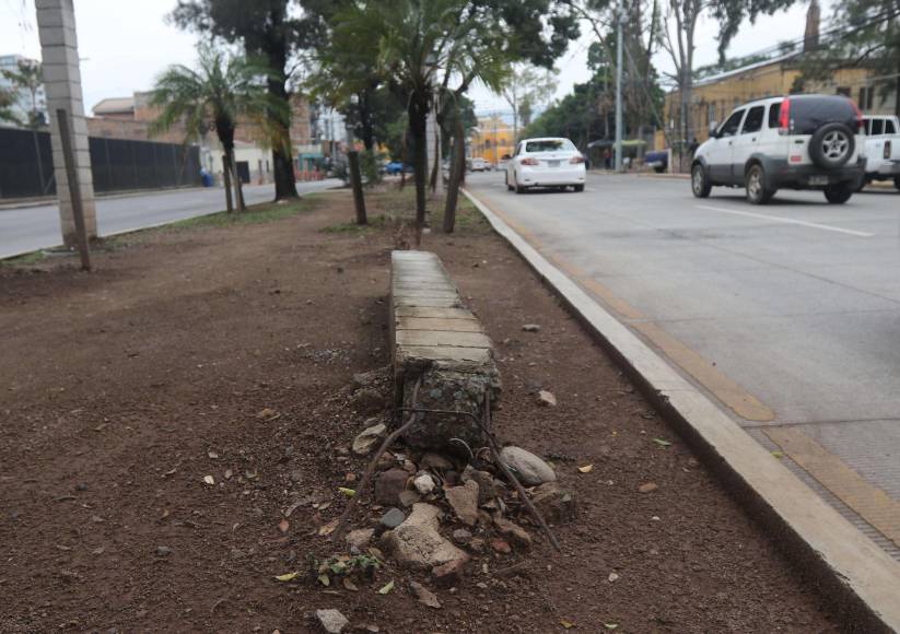 Imágenes: Entre daños y olvido así lucen los héroes del bulevar Los Próceres