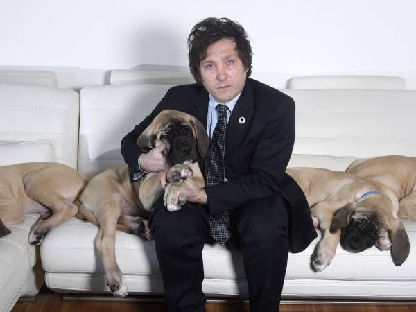 Javier Milei, candidato presidencial en Argentina, en casa en el 2018 con sus cachorros de mastín clonados.