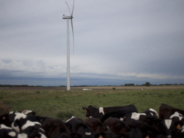 Uruguay genera casi toda su electricidad de fuentes renovables. Energía eólica en un parque cerca de Montevideo.