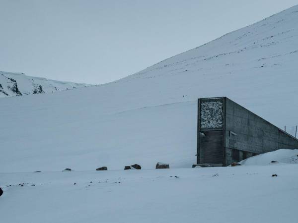 La Cámara Global de Semillas de Svalbard, en el norte de Noruega, recibió unas 30 mil muestras nuevas en octubre. (Erin Schaff/The New York Times)