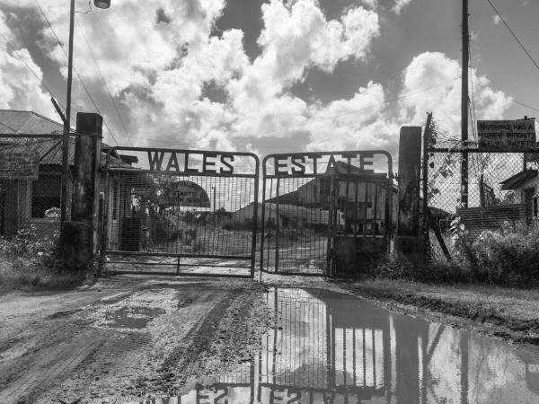 En la Finca Wales, una antigua plantación de azúcar en Guyana, ahora se construye un gasoducto de gas natural.