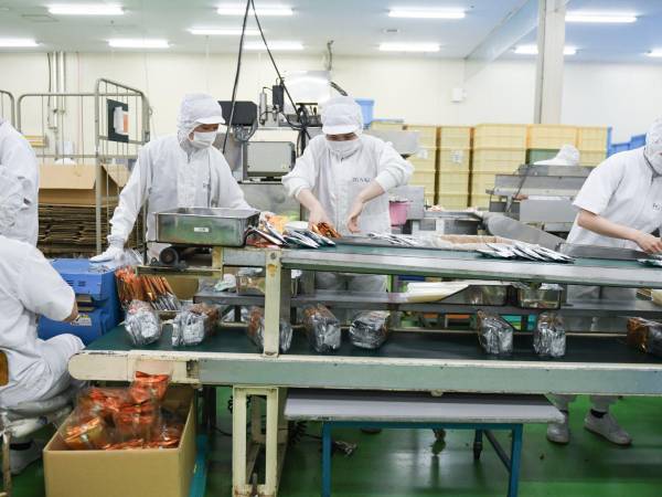 Trabajadores vietnamitas empacan galletas de arroz en Hizatsuki Confectionery, en la Prefectura de Tochigi. Los extranjeros componen unas dos docenas de sus 210 empleados.