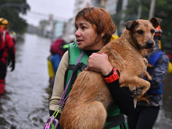 Un perro rescatado de una zona inundada en Canoas, Brasil. Encontrar a los dueños de los animales suele ser un reto después de desastres.