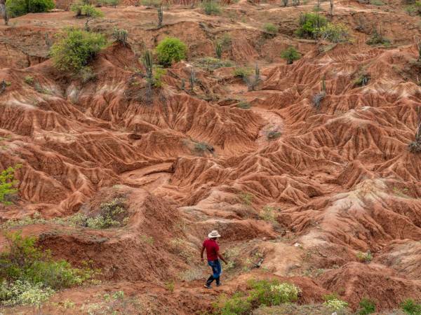 El desierto de la Tatacoa alberga ricos yacimientos de fósiles conocidos por paleontólogos como los depósitos de La Venta.