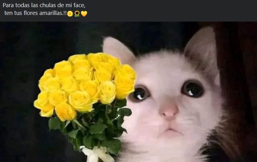 ¿No te dieron flores amarillas? Estos memes son para ti