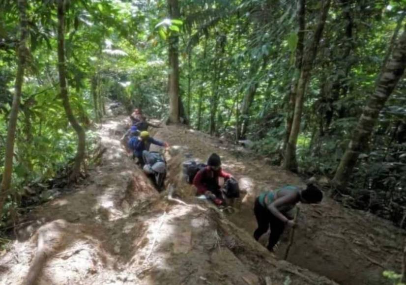 La selva del Darién: mafias, violencia sexual y animales, los peligros del conocido “tapón” de los migrantes