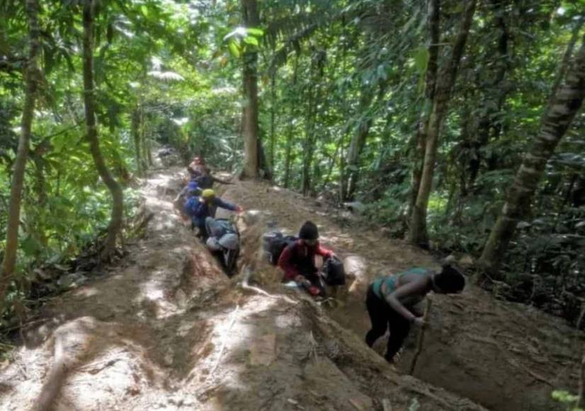 “He visto a mamás dejar a sus hijos ahí”: crudos relatos del tapón del Darién, la selva donde Dios no entra