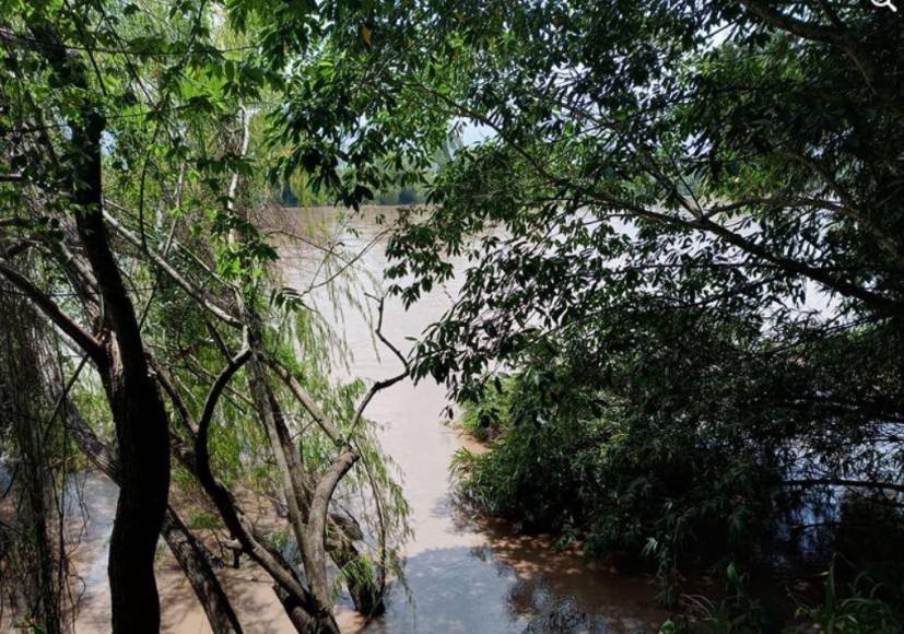 Luis Fernando Rosales, joven que continúa desaparecido en río Ulúa