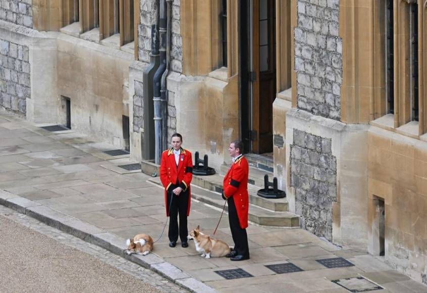 Desmayos, flores y mascotas: Lo que no se vio en televisión del funeral de la reina Isabel II