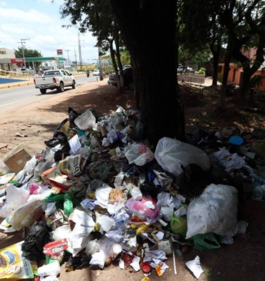 Por inseguridad, tren de aseo no llega a varias colonias de la capital