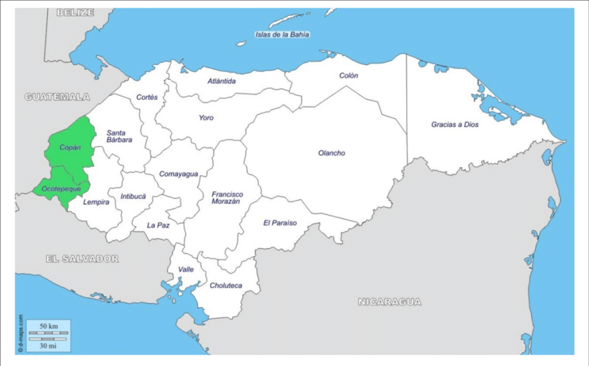 Cartel del Atlántico: ¿Quiénes lo integran y qué regiones controlan?