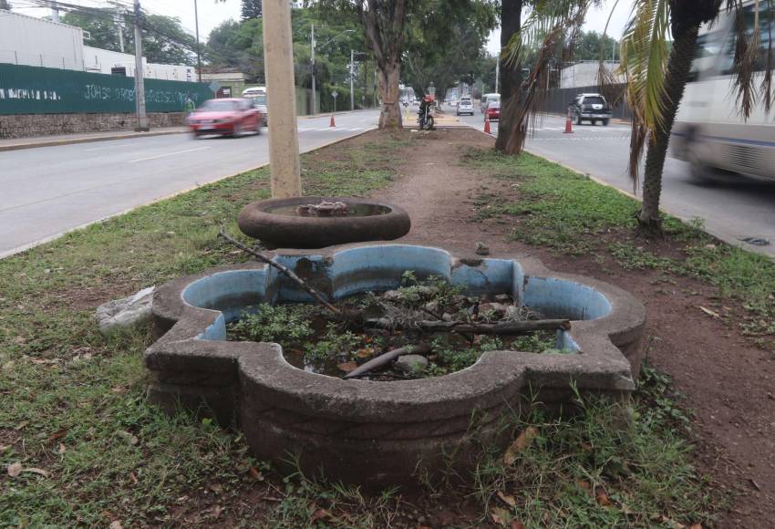 Imágenes: Entre daños y olvido así lucen los héroes del bulevar Los Próceres