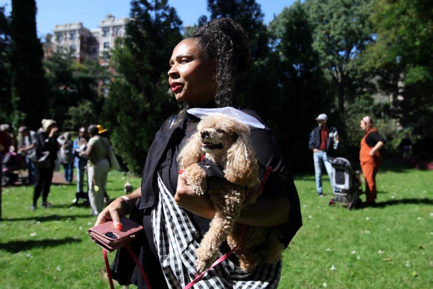 Inusual y llena de alegría: así fue la bendición de mascotas en Nueva York