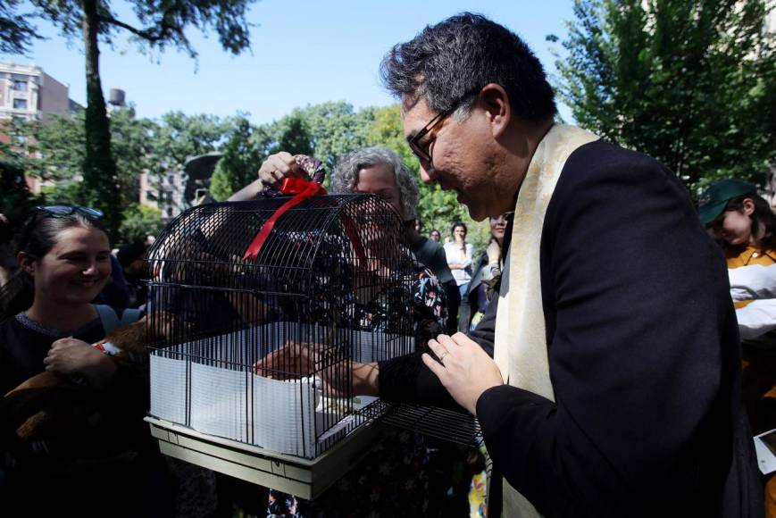 Inusual y llena de alegría: así fue la bendición de mascotas en Nueva York