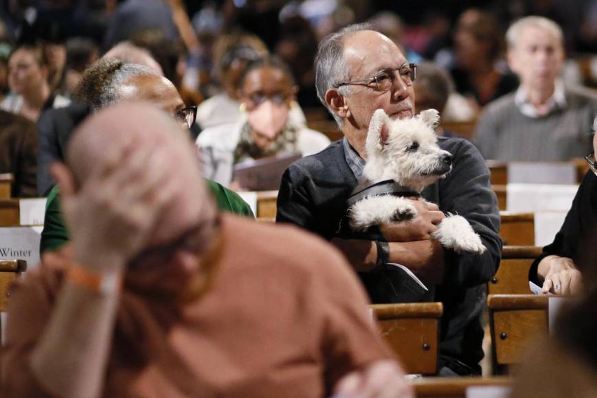 Inusual y llena de alegría: así fue la bendición de mascotas en Nueva York