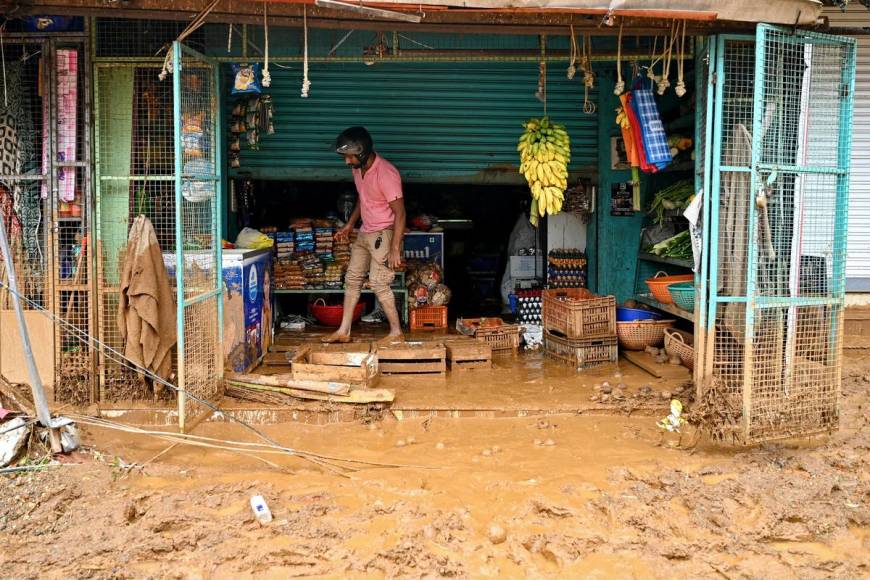 Lluvias devastan plantación de té en India: suman 160 muertes