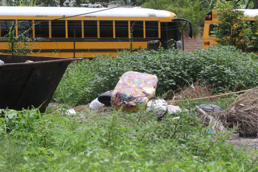 Angustia y dolor: Familiares desesperados exigen respuestas sobre la matanza en PNFAS