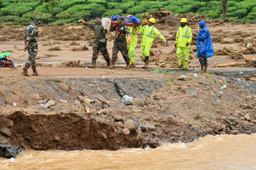 Lluvias devastan plantación de té en India: suman 160 muertes