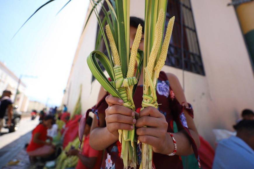 Familias enteras reviven en Comayagua tradicional venta de palmas previo a Domingo de Ramos