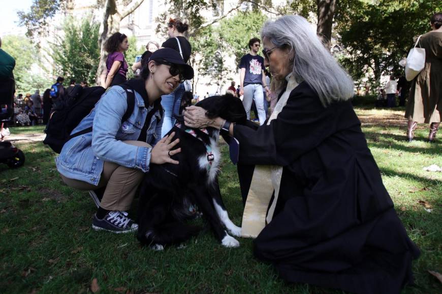 Inusual y llena de alegría: así fue la bendición de mascotas en Nueva York