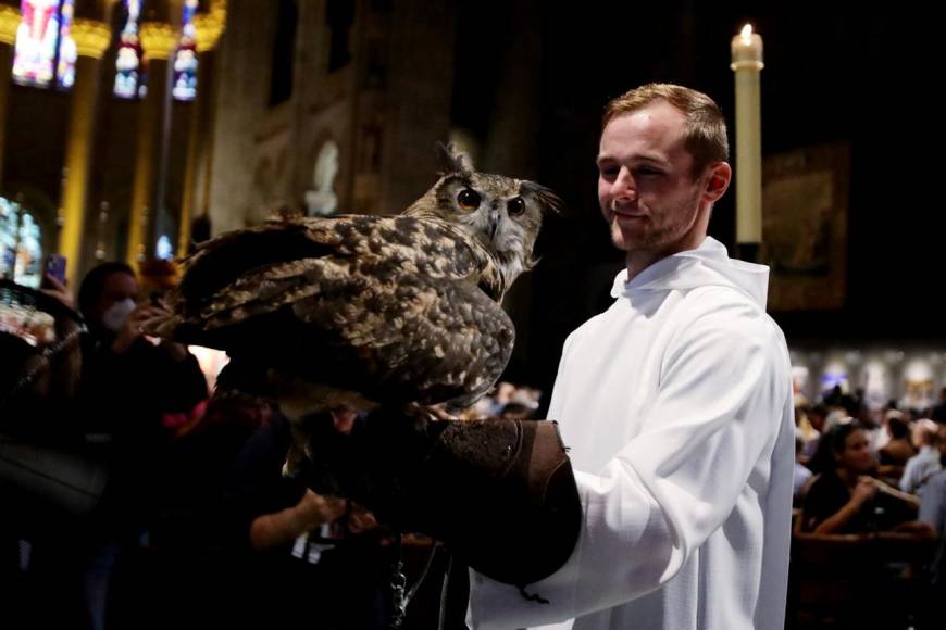 Inusual y llena de alegría: así fue la bendición de mascotas en Nueva York