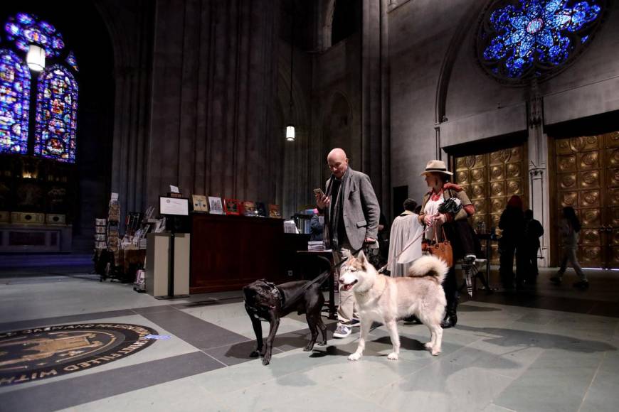 Inusual y llena de alegría: así fue la bendición de mascotas en Nueva York