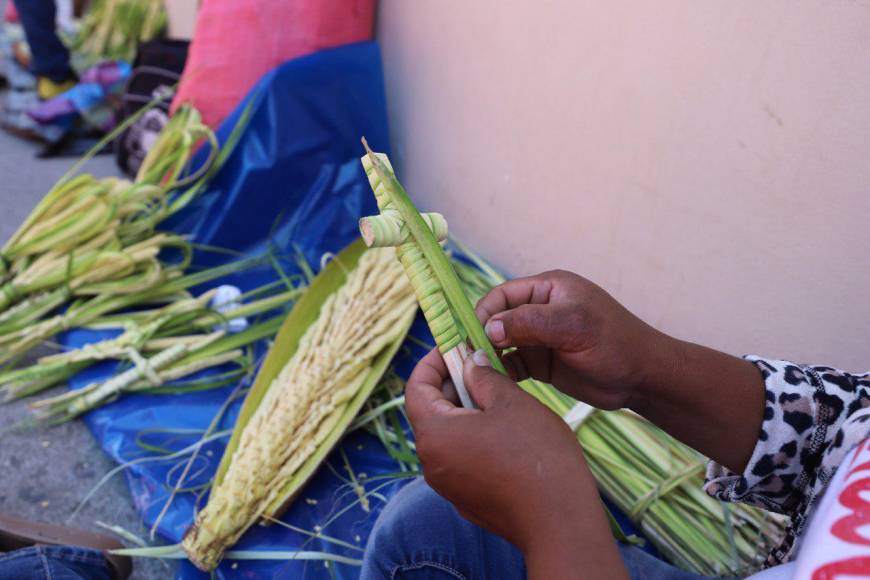 Familias enteras reviven en Comayagua tradicional venta de palmas previo a Domingo de Ramos