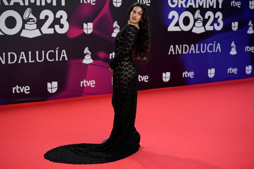 Latin Grammy: famosos recorren la alfombra roja en España