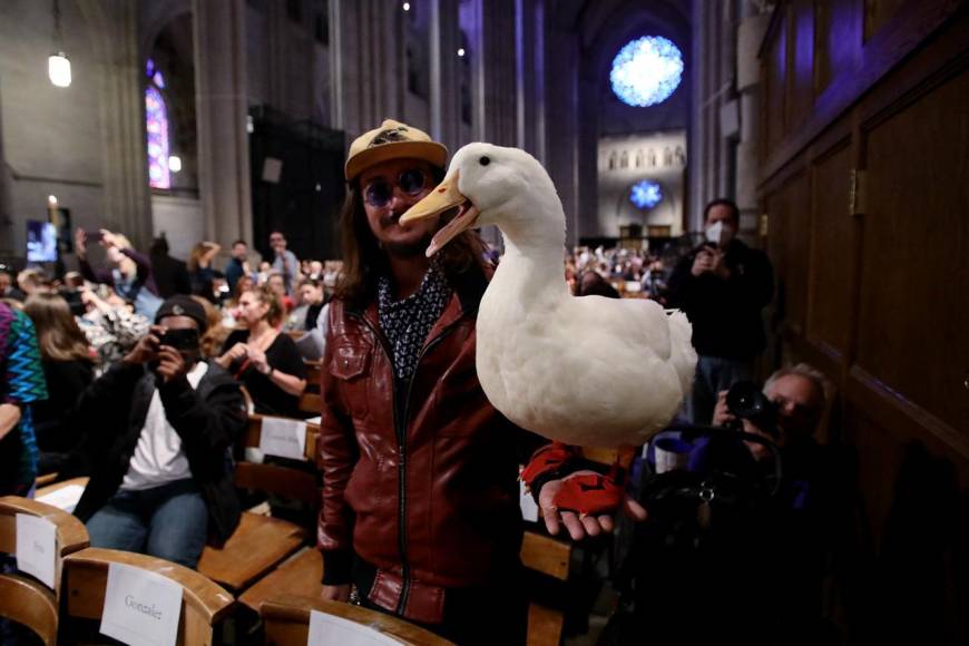 Inusual y llena de alegría: así fue la bendición de mascotas en Nueva York