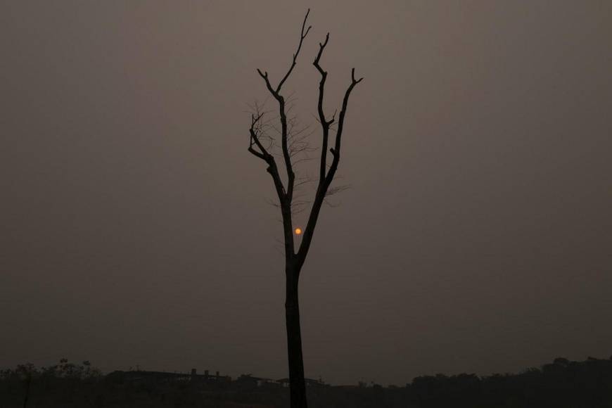 ¿Qué es la “lluvia negra”, el fenómeno que afectaría a Sudamérica?