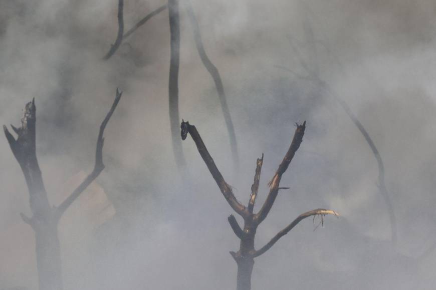 Las impactantes imágenes que dejó el incendio de una zacatera en la capital