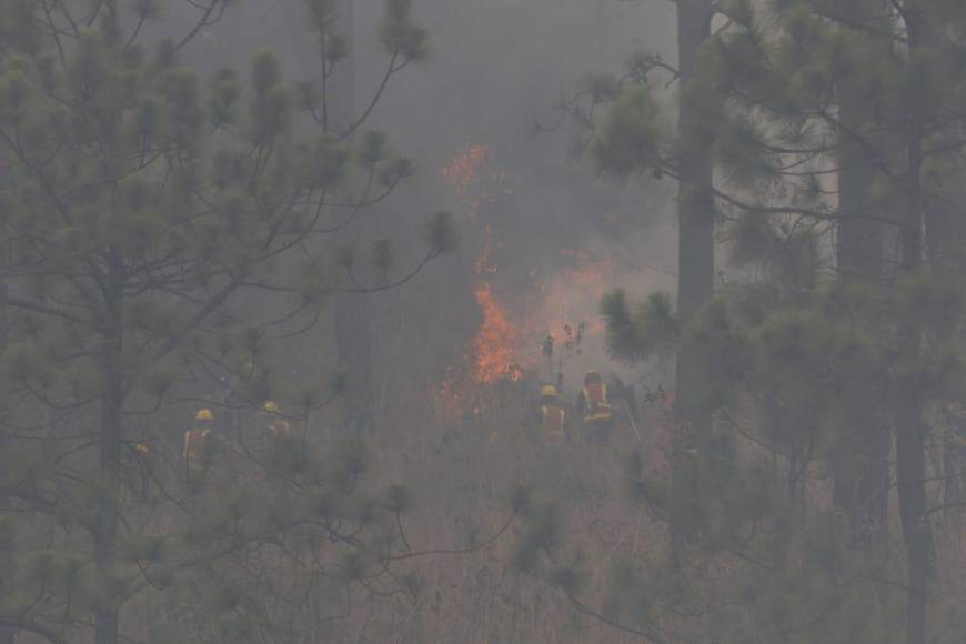 Así consume el bosque incendio desatado en el cerro de Uyuca