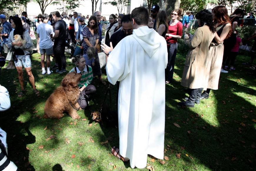 Inusual y llena de alegría: así fue la bendición de mascotas en Nueva York