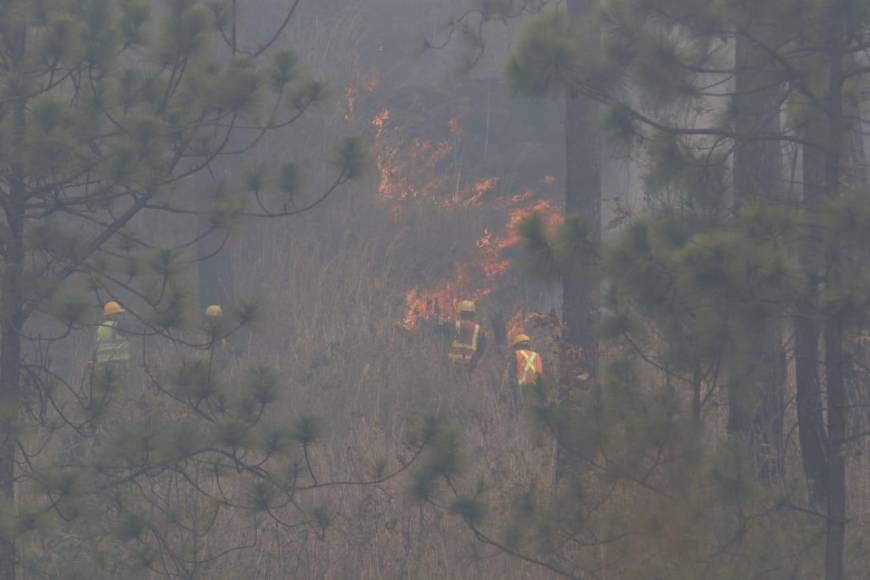 Así consume el bosque incendio desatado en el cerro de Uyuca