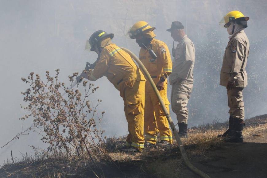 Las impactantes imágenes que dejó el incendio de una zacatera en la capital