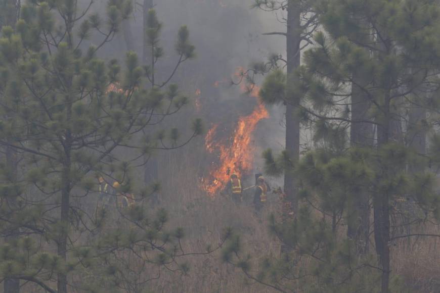 Así consume el bosque incendio desatado en el cerro de Uyuca