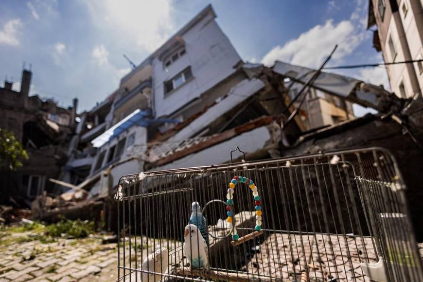 Con globos rojos rinden homenaje a los niños muertos en el terremoto de Turquía