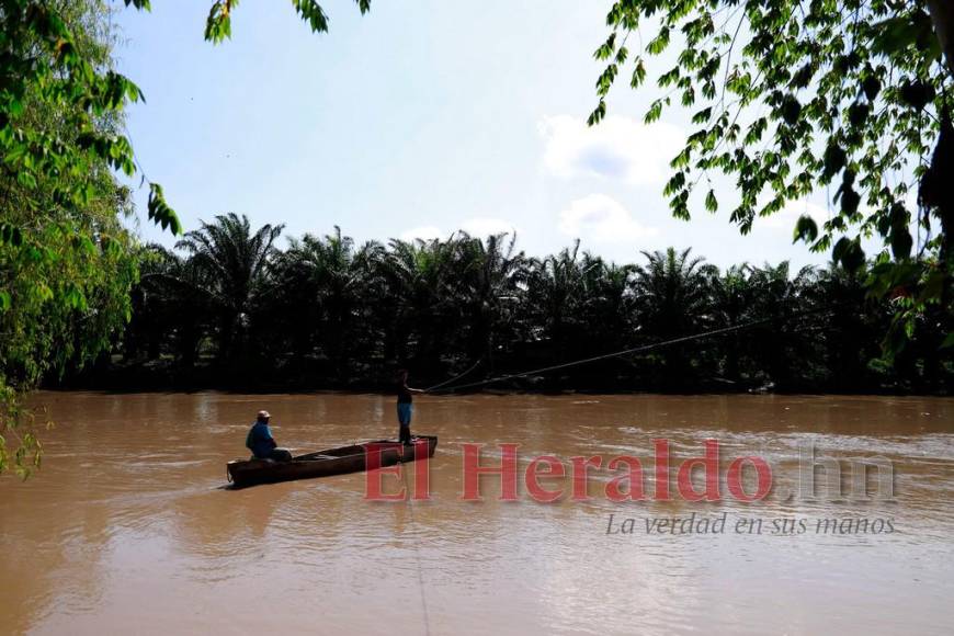 Hambrientos, temerosos y enfermos: Afectados por las lluvias en Choloma claman por ayuda