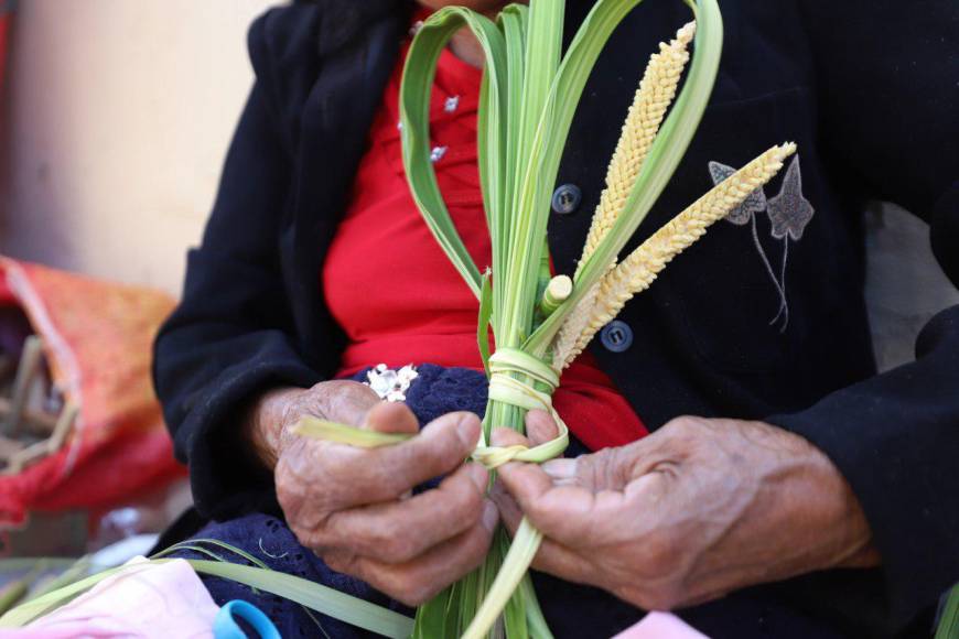 Familias enteras reviven en Comayagua tradicional venta de palmas previo a Domingo de Ramos