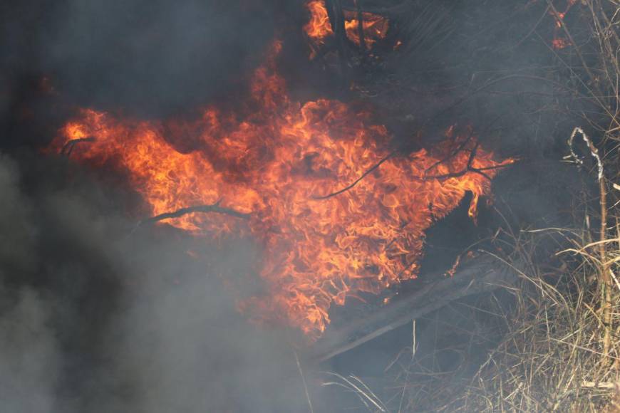 Las impactantes imágenes que dejó el incendio de una zacatera en la capital