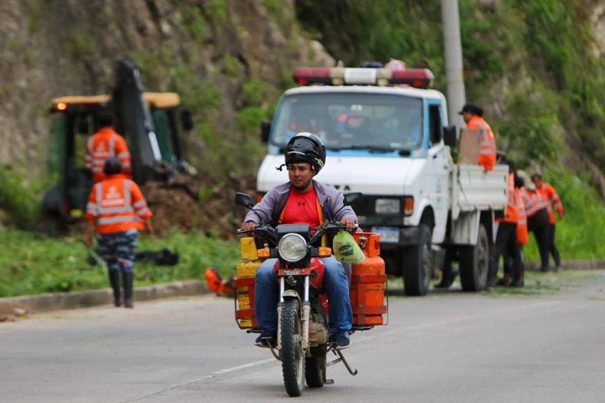 Motociclistas y peatones ¿Qué cuidados deben tener para evitar atropellamientos?